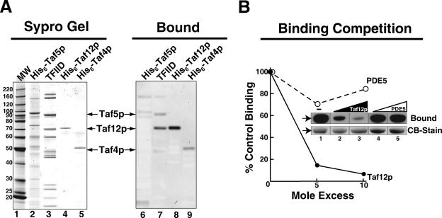 FIG. 6.