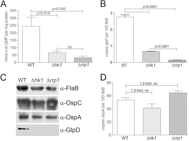 FIG 3