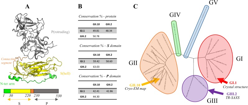 Fig 1