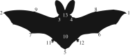 Figure 1.