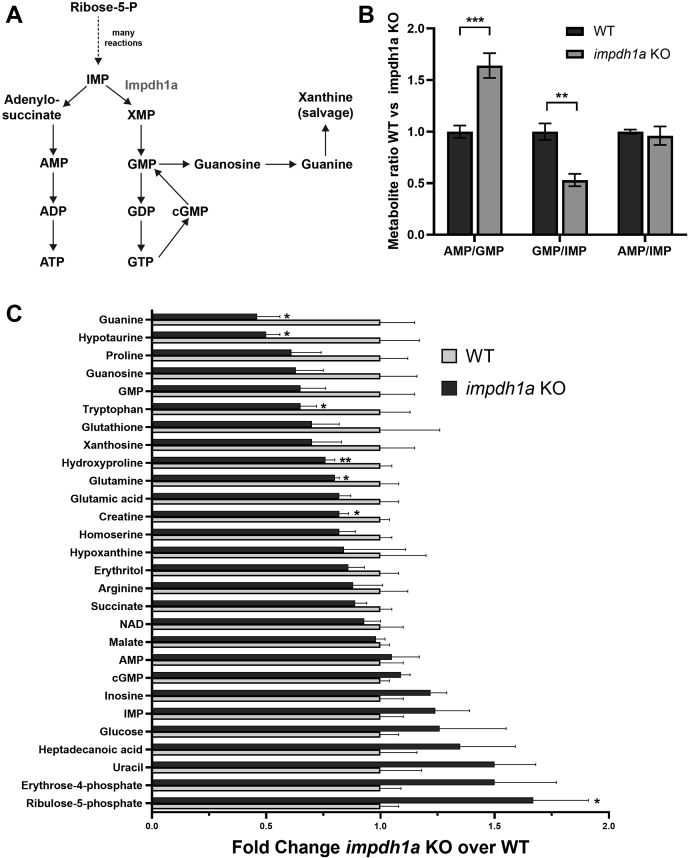 Figure 6