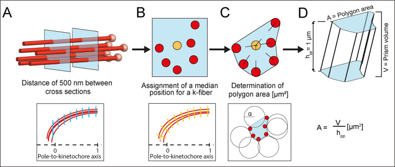Figure 7—figure supplement 1.