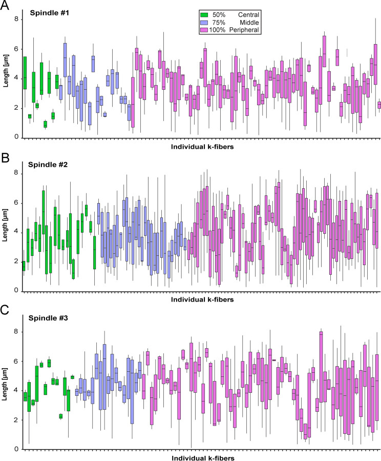 Figure 4—figure supplement 2.