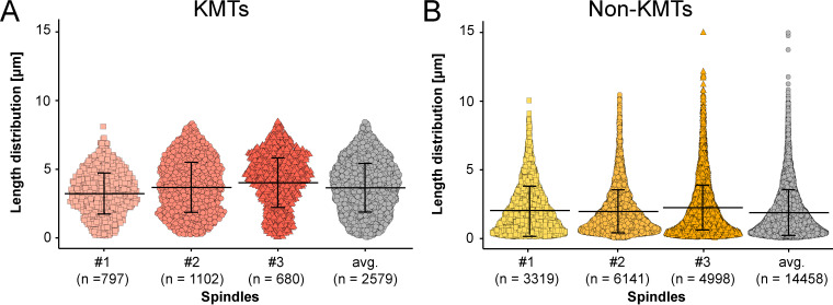 Figure 4—figure supplement 1.