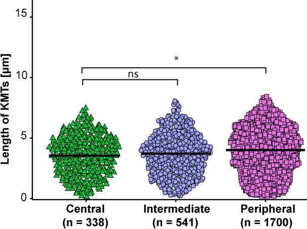 Figure 4—figure supplement 3.