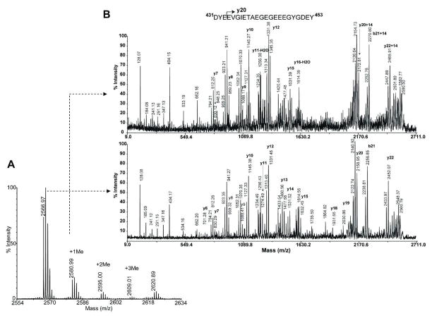 Figure 10