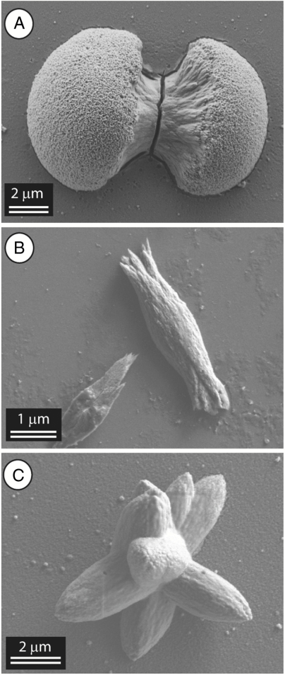 Fig. 5.