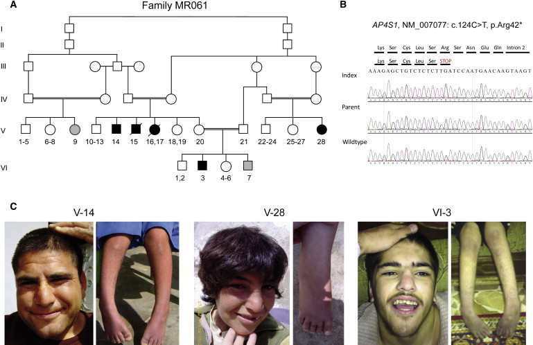 Figure 2