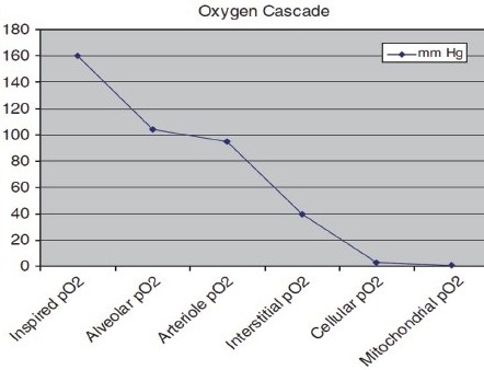 Figure 2b