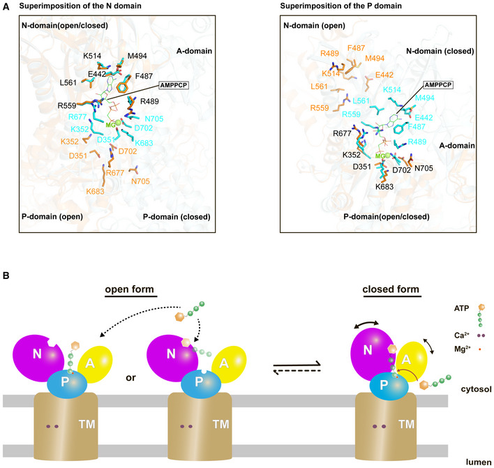 Figure 6