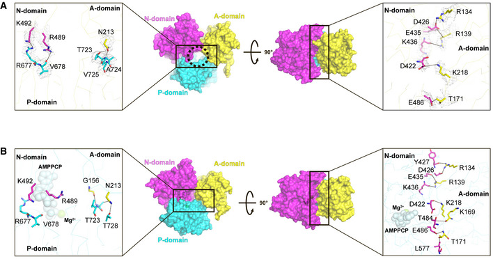 Figure 4