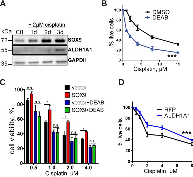 FIG 6