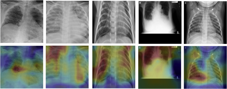 Fig. 7