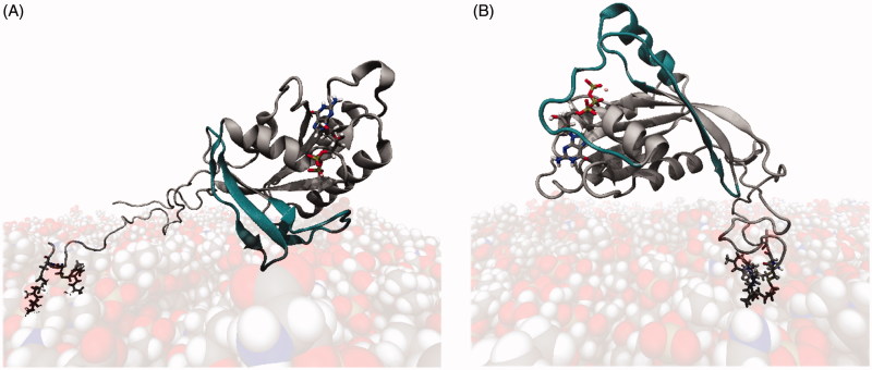 Figure 9.