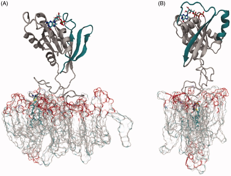 Figure 2.