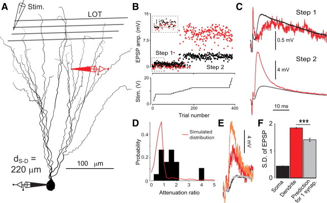 Figure 9.