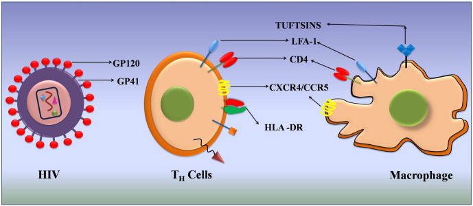 Fig. 2