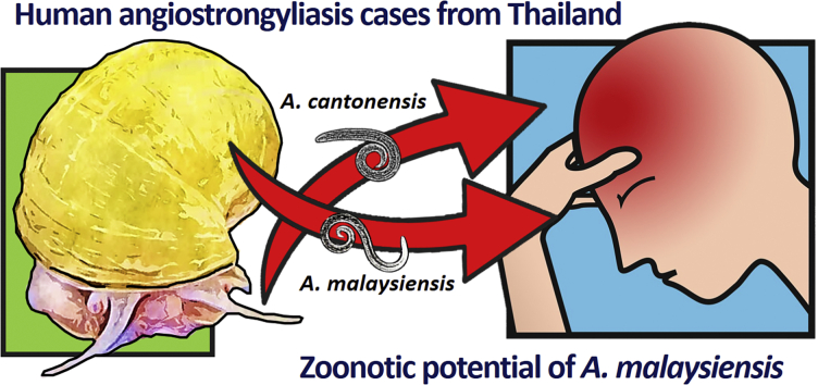 Unlabelled Image