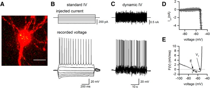 Figure 2.