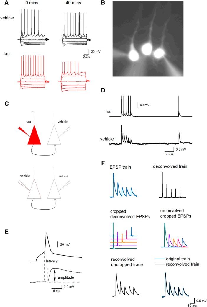 Figure 6.