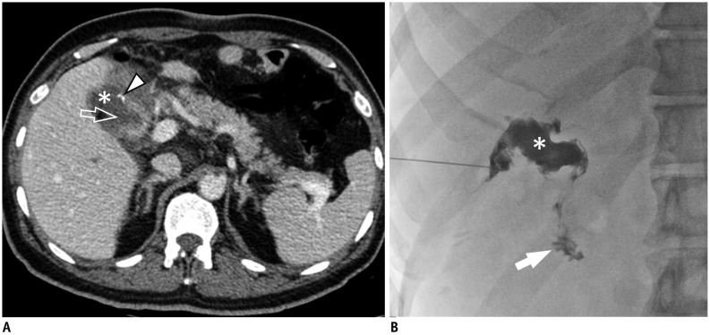 Fig. 8