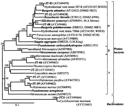 FIG. 1.