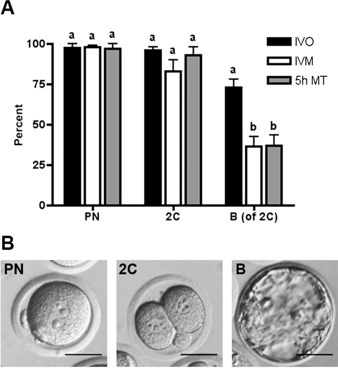 FIG. 5. 