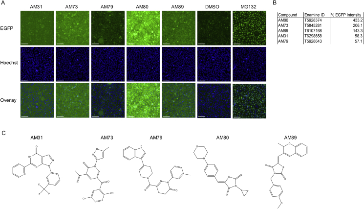 Figure 4