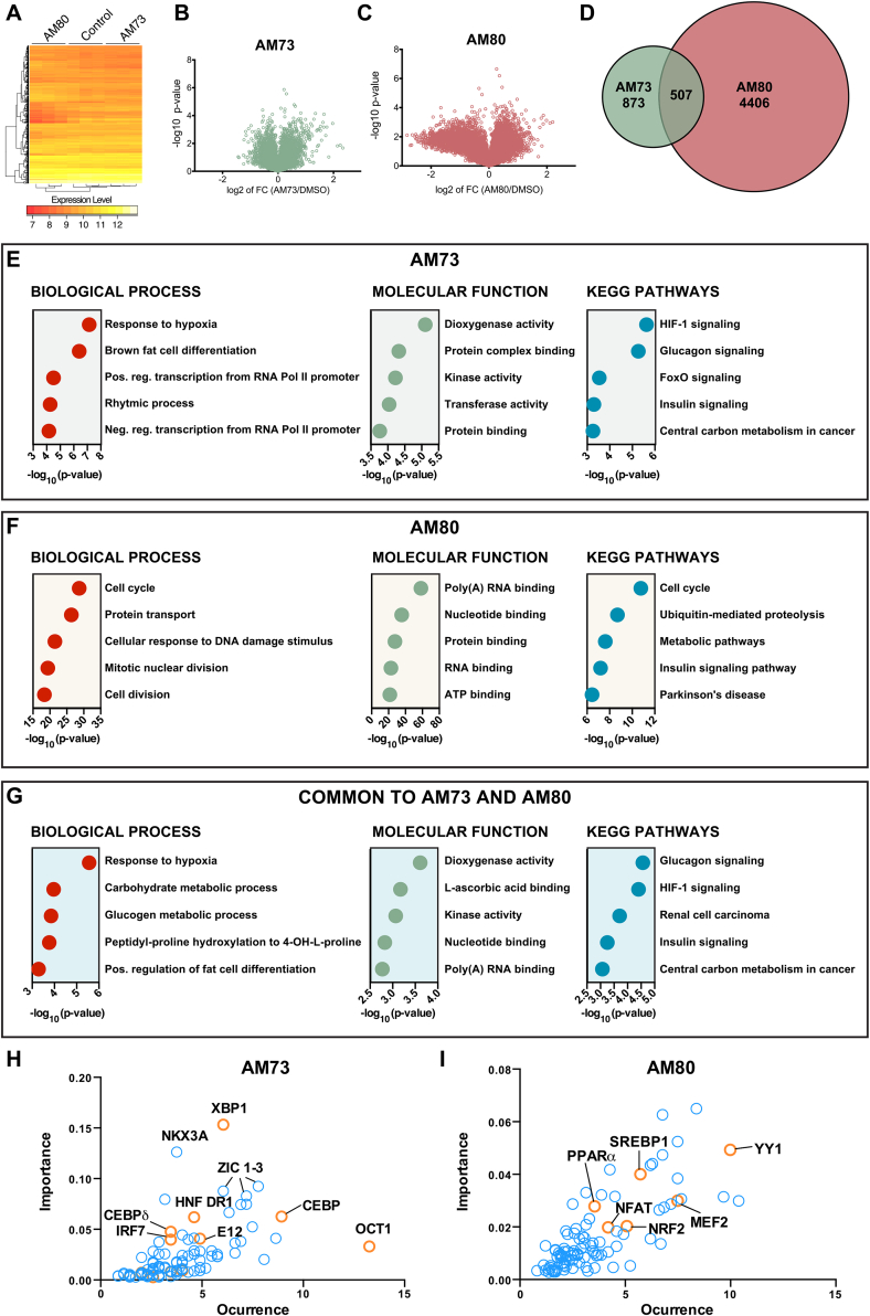 Figure 6