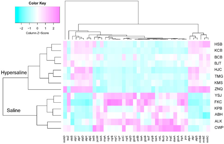 Figure 11