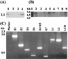 FIG. 5.
