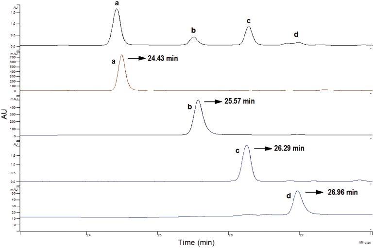 Fig 6