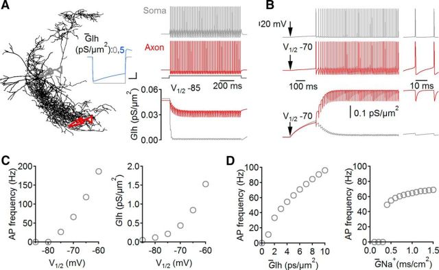 Figure 4.