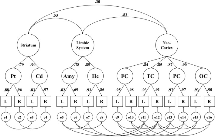 Fig. 2