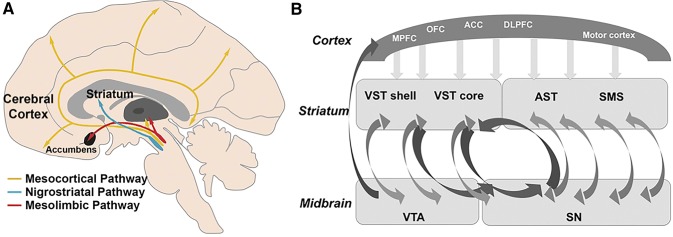 Fig. 1