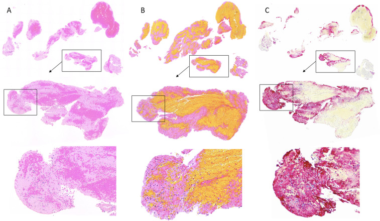 Figure 1.