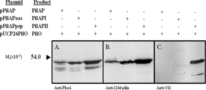 FIG. 5.