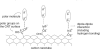 Figure 26