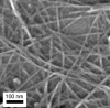 Figure 24