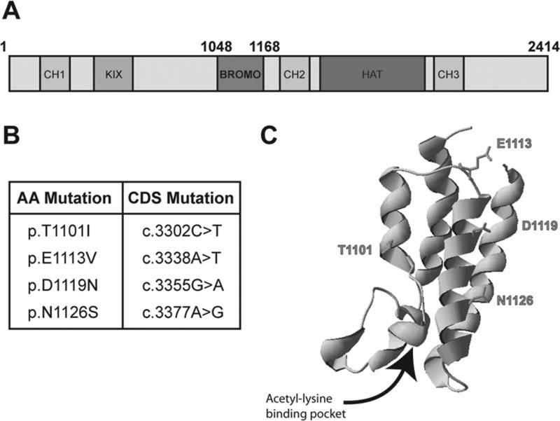 FIG 2