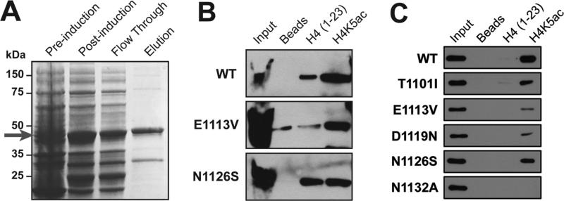 FIG 3