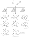 Scheme 43