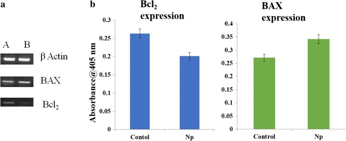 Fig. 10