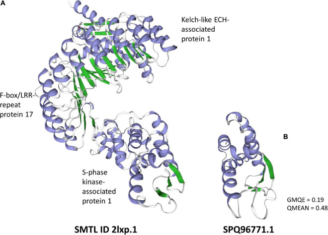 FIGURE 2