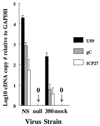 FIG. 6