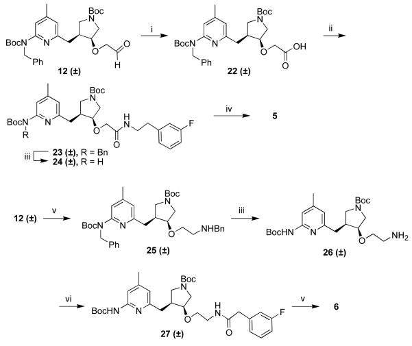 Scheme 5