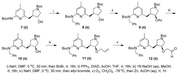 Scheme 1