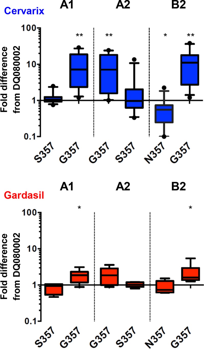 FIG 3