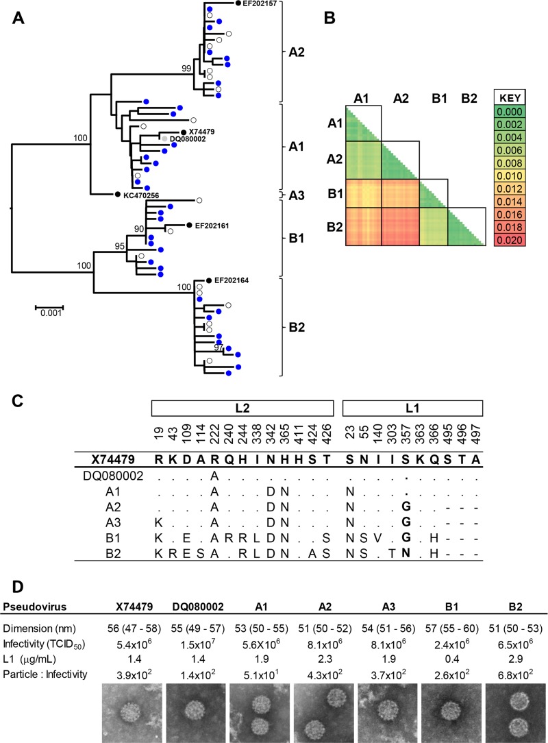 FIG 1