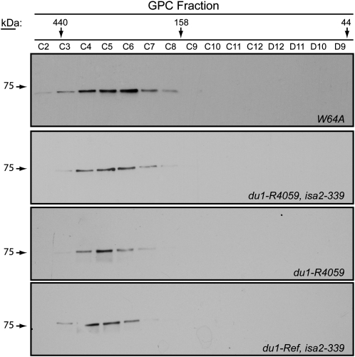 Figure 6.